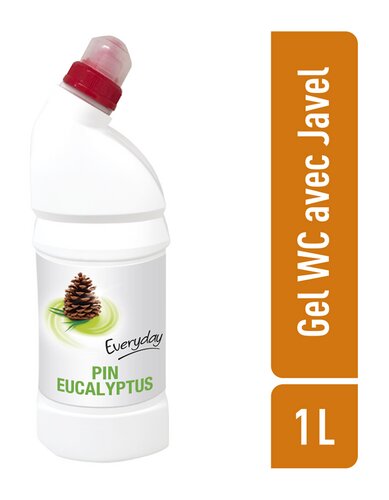 EVERYDAY gel wc eucalyptus pin javel 1L