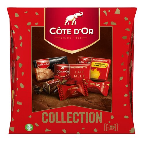 CÔTE D'OR collection pralines 242g