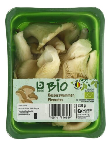 BONI BIO oesterzwammen 250g