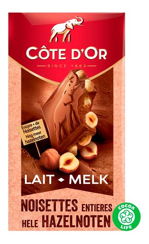 Chocolat au lait noisettes entières COTE D'OR