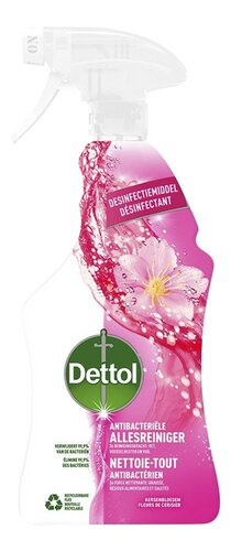DETTOL power&fresh spray kersenbl. 750ml