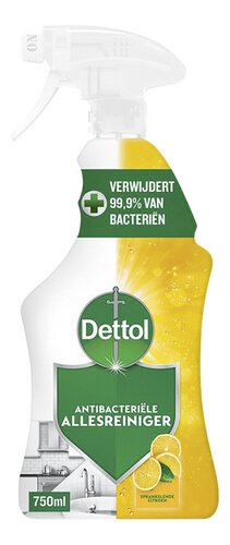 DETTOL Power&Fresh spray citroen 750ml