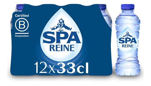 SPA REINE Plat water 33cl