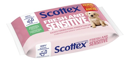 SCOTTEX Vochtige sensitive 38st