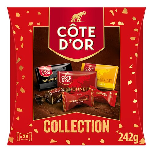 CÔTE D'OR collection pralines 242g