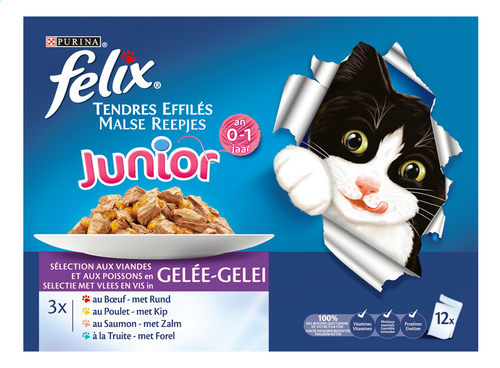 Felix Junior Nourriture Pour Chat Effiles En Gelee Viande Poisson 12x100g Sachet Colruyt