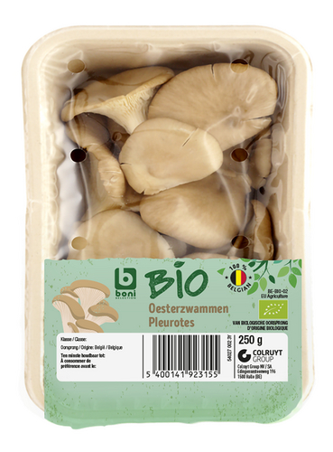 BONI BIO oesterzwammen 250g