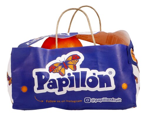 PAPILLON Mandarijn 850g