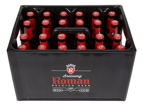 ROMAN pils 5,0%vol 24x25cl