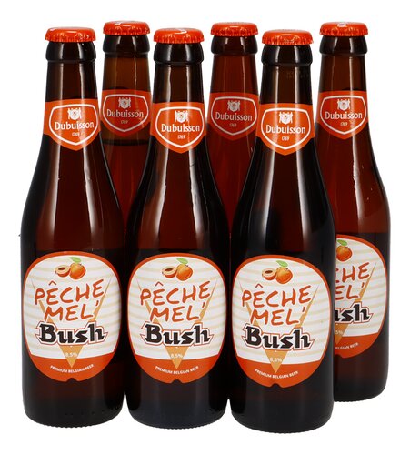 BUSH bier Pêche Mel 8,5%vol 6x33cl