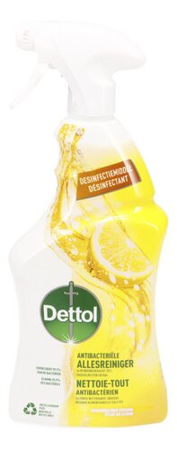 DETTOL Power&Fresh spray citroen 750ml