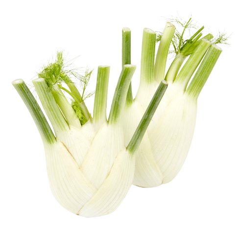 Legumes Fenouil Vrac Colruyt